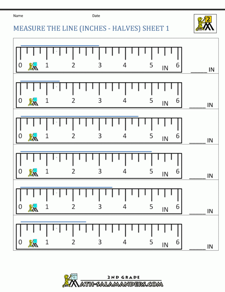 3rd Grade Measurement Worksheets 98 How To Math Worksheet Grade 3 