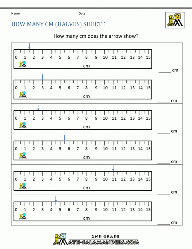 Grade 3 Measurement Worksheet Convert Lengths Between Cm And Mm K5 