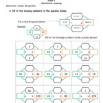 Grade 3 Quantitative Reasoning Examination Worksheet