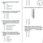 Reading Comprehension Worksheets 3rd Graders Mreichert Kids Worksheets