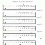 17 How To Read A Ruler In Inches Worksheet Tips Reading