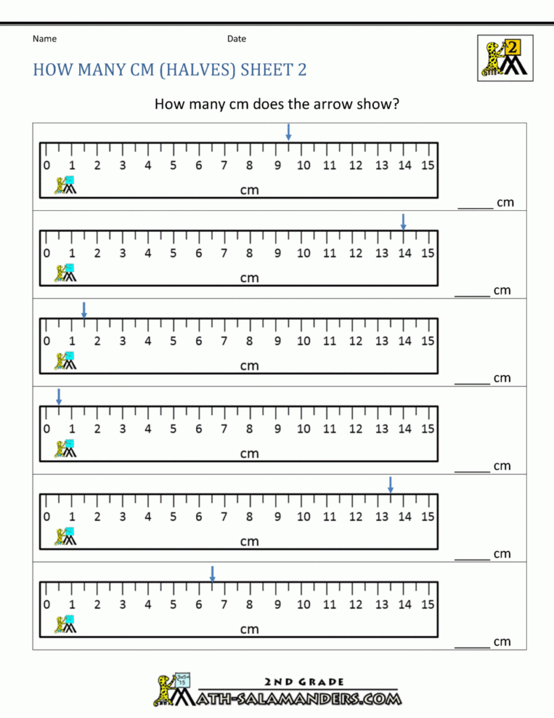 17 How To Read A Ruler In Inches Worksheet Tips Reading