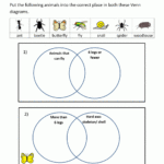 Venn Diagram Worksheet For Grade 1